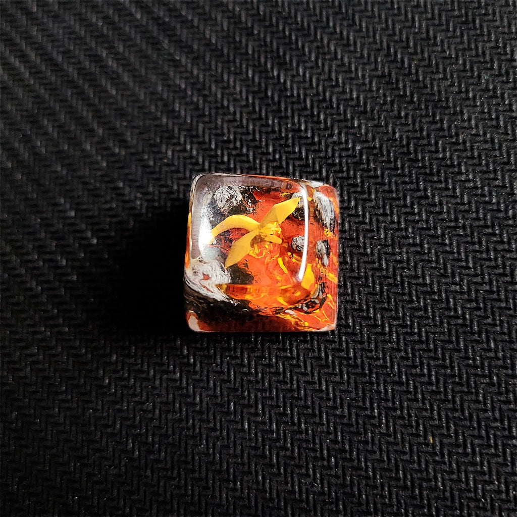 Keycap Chari.zard(AK)