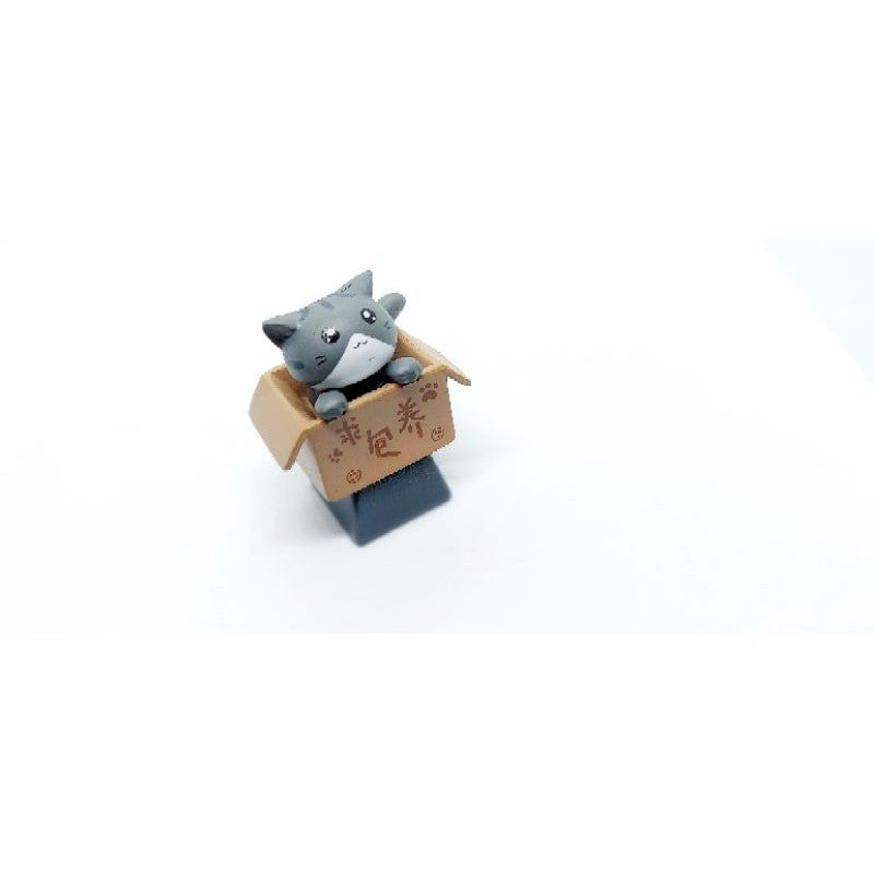 Baby Cat in Box Keycap(CK)