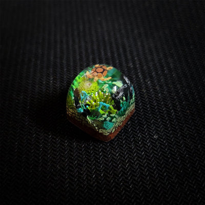 Keycap Coral 2(NK)