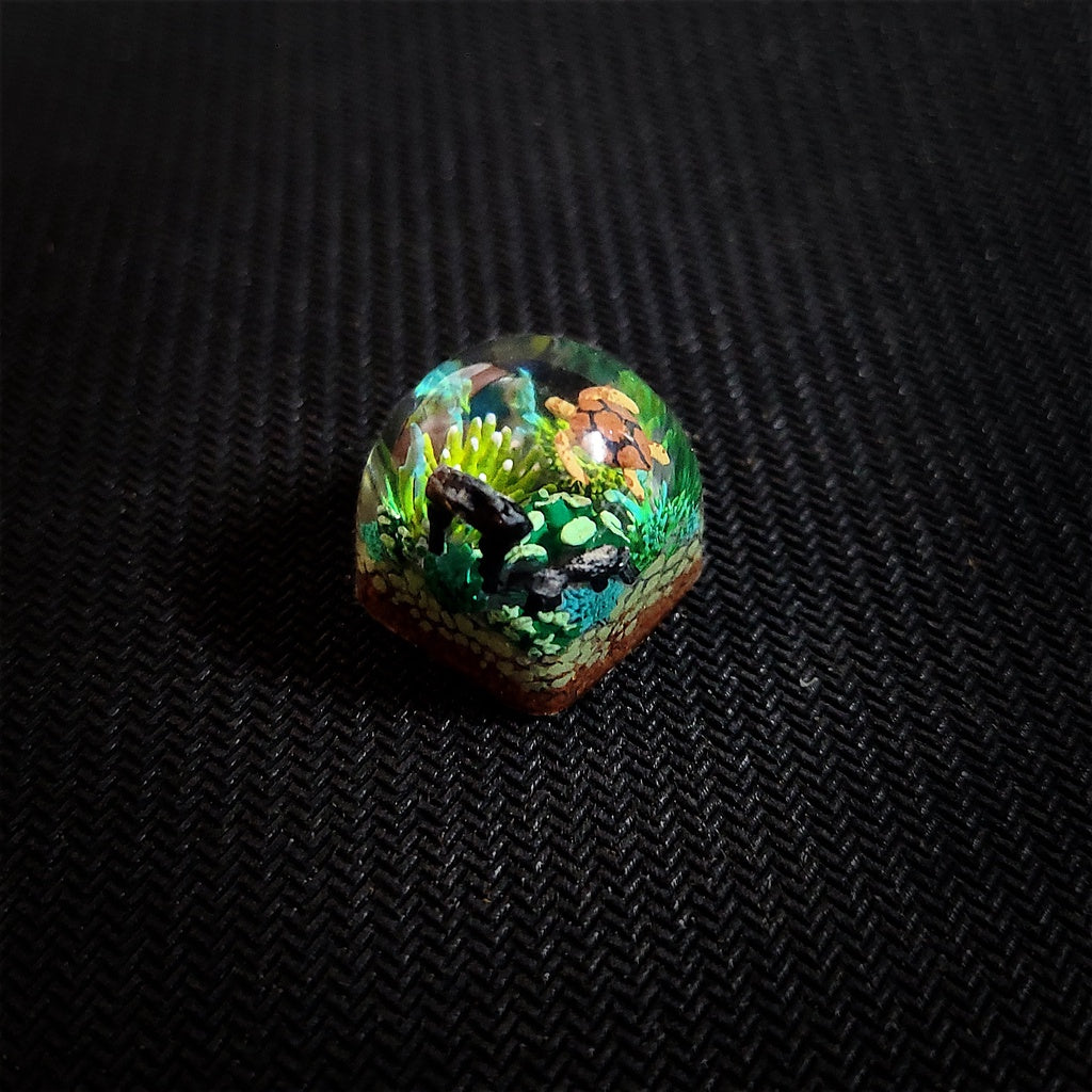 Keycap Coral 2(NK)