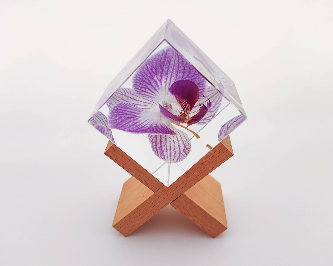 Real Orchid Cube with Purple Lines Resin Lamp