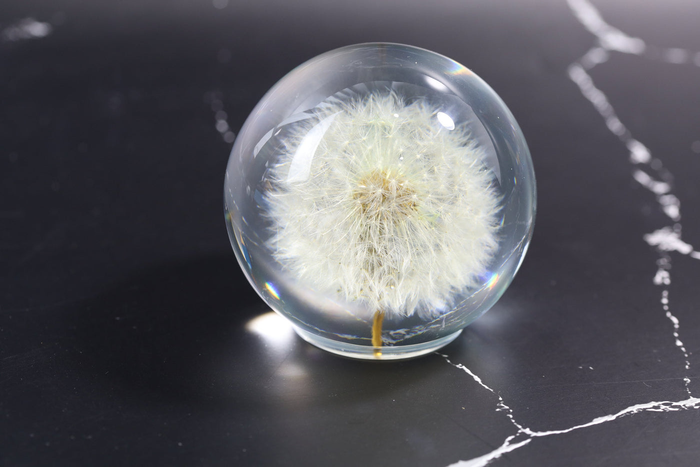 Dandelion Night Light