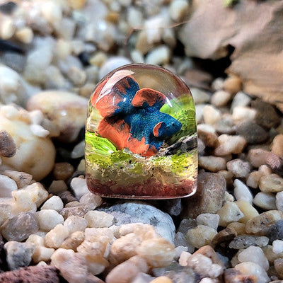 Betta Fish Keycaps