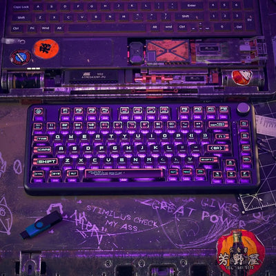 Purple Transparent PBT Keyboard