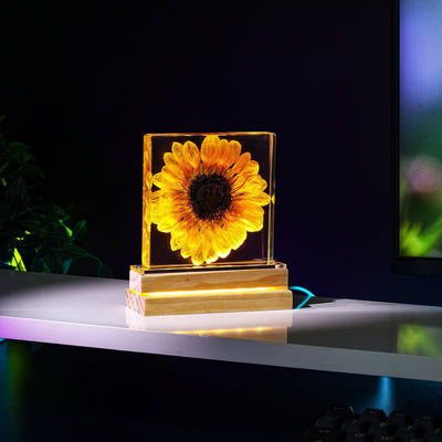 Real Sunflower Night Light