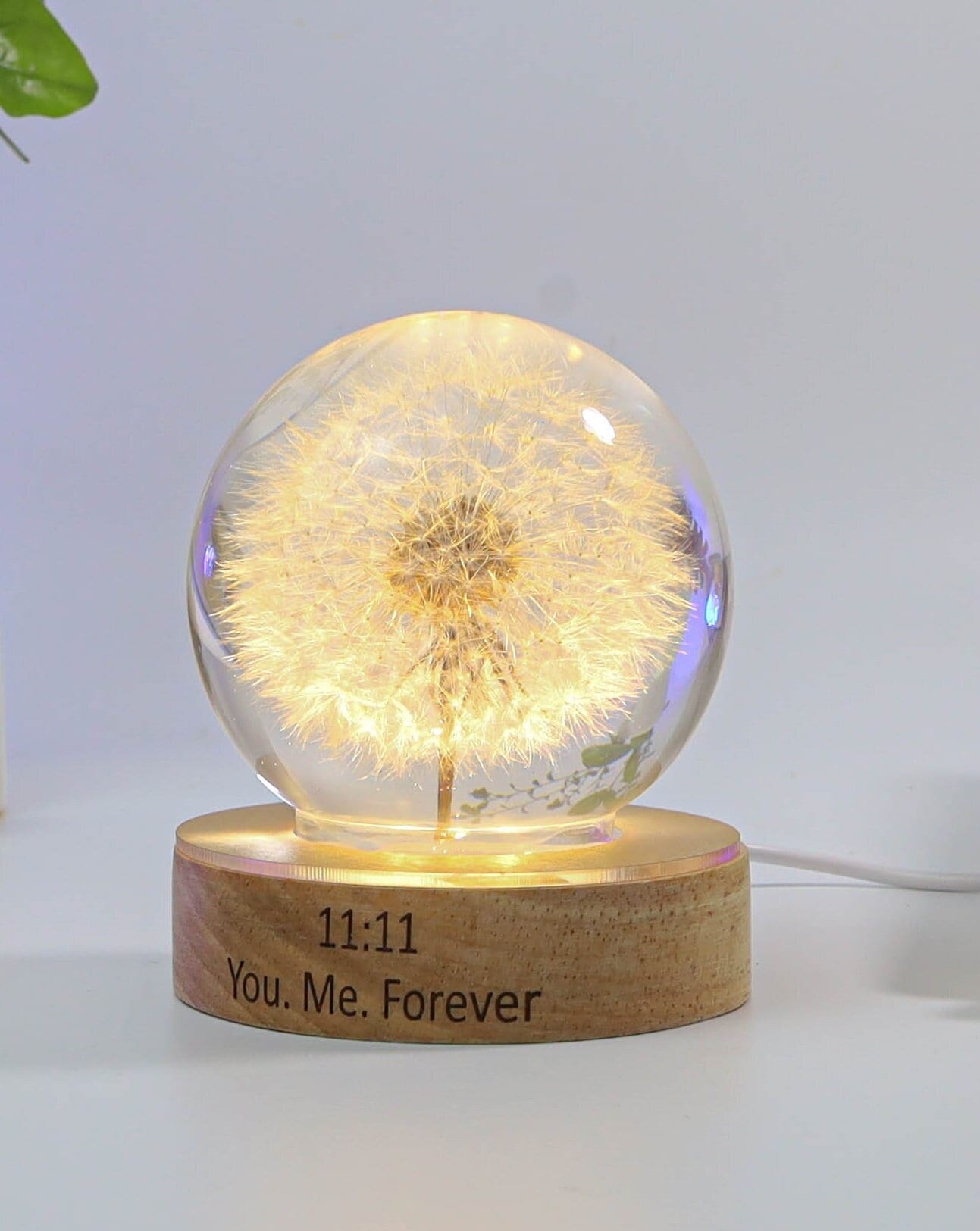 Dandelion Night Light