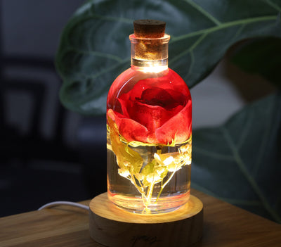 Real Rose Flower Night Light