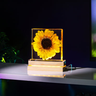 Real Sunflower Night Light