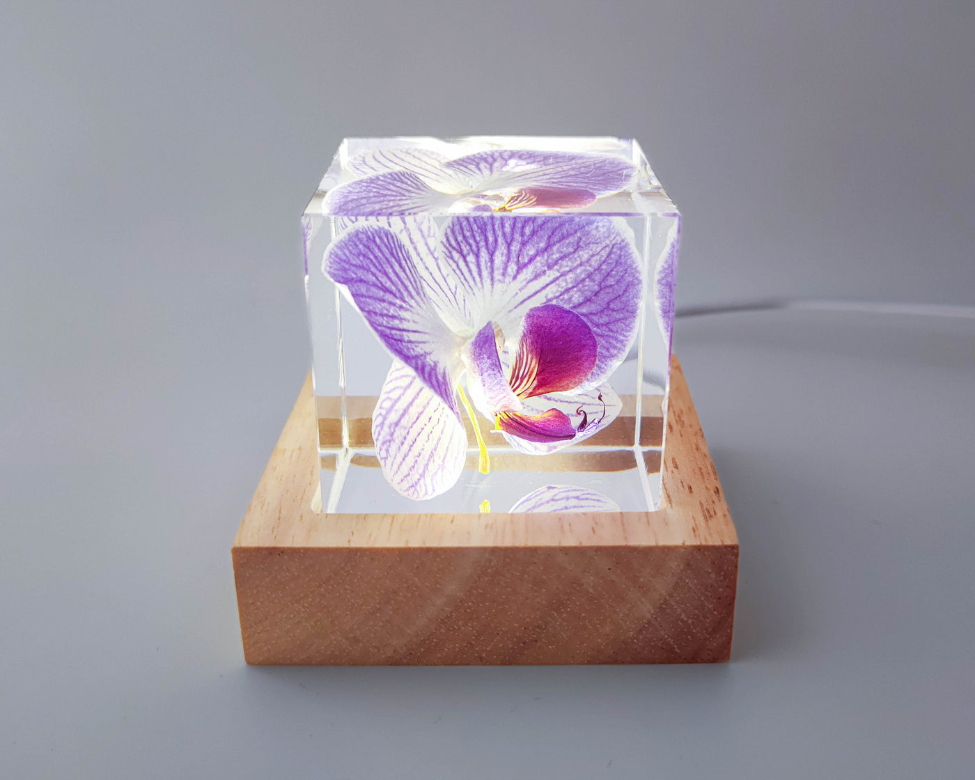 Real Orchid Cube with Purple Lines Resin Lamp