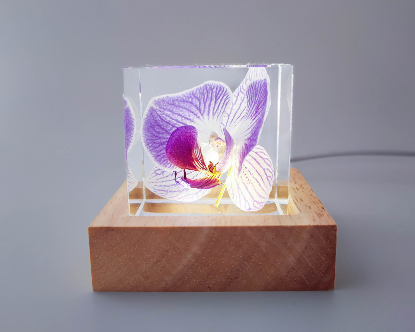 Real Orchid Cube with Purple Lines Resin Lamp