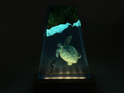 Hawksbill Turtle Art Night Light