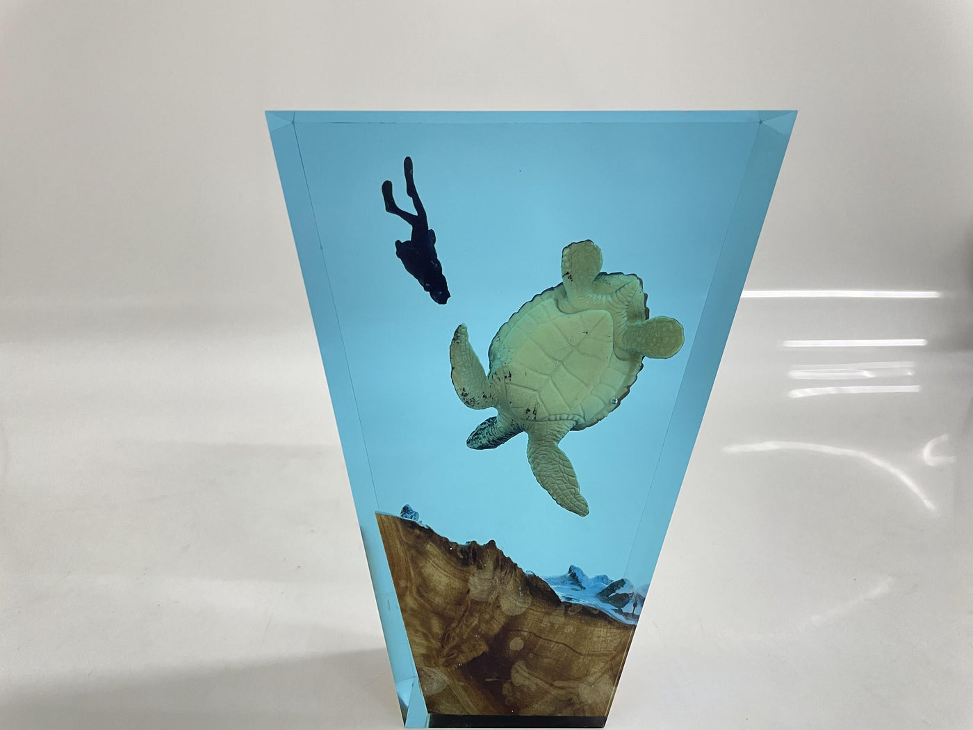 Hawksbill Turtle Art Night Light