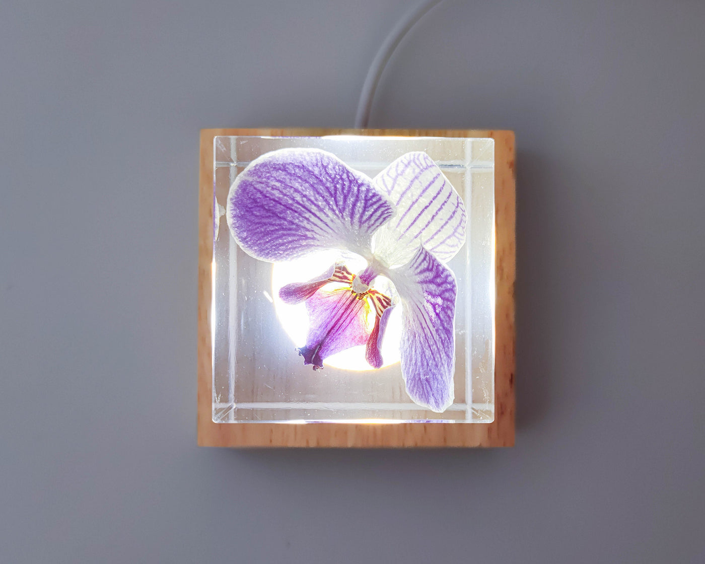 Real Orchid Cube with Purple Lines Resin Lamp