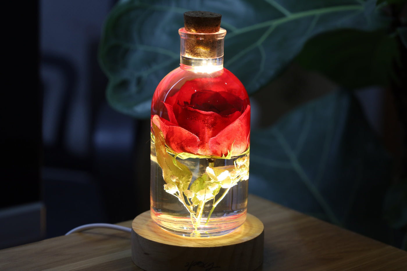 Real Rose Flower Night Light