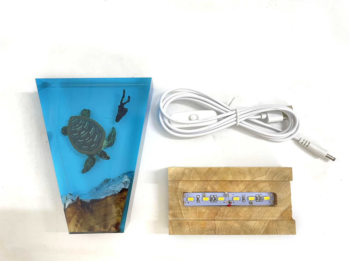 Hawksbill Turtle Art Night Light