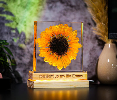 Real Sunflower Night Light