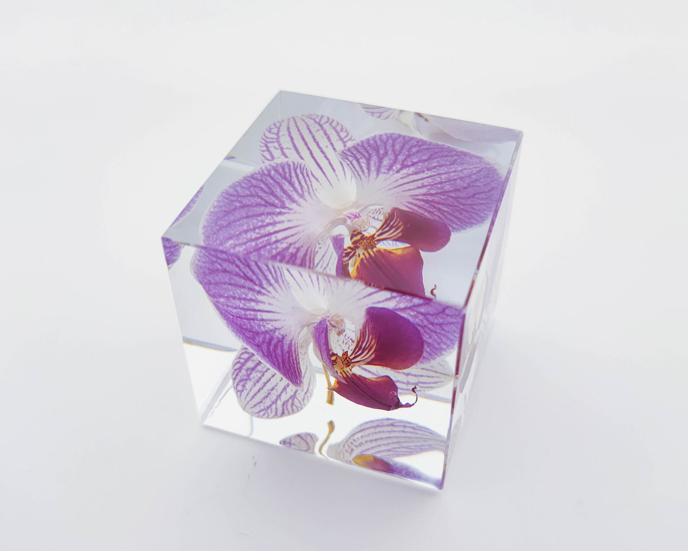 Real Orchid Cube with Purple Lines Resin Lamp