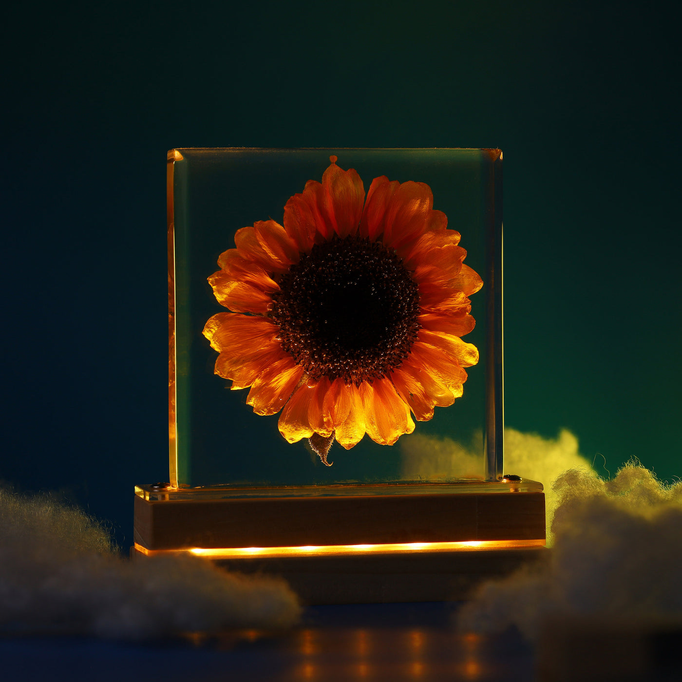 Real Sunflower Night Light