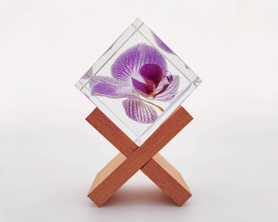 Real Orchid Cube with Purple Lines Resin Lamp