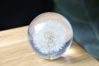 Dandelion Night Light