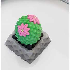 CACTUS KEYCAPS