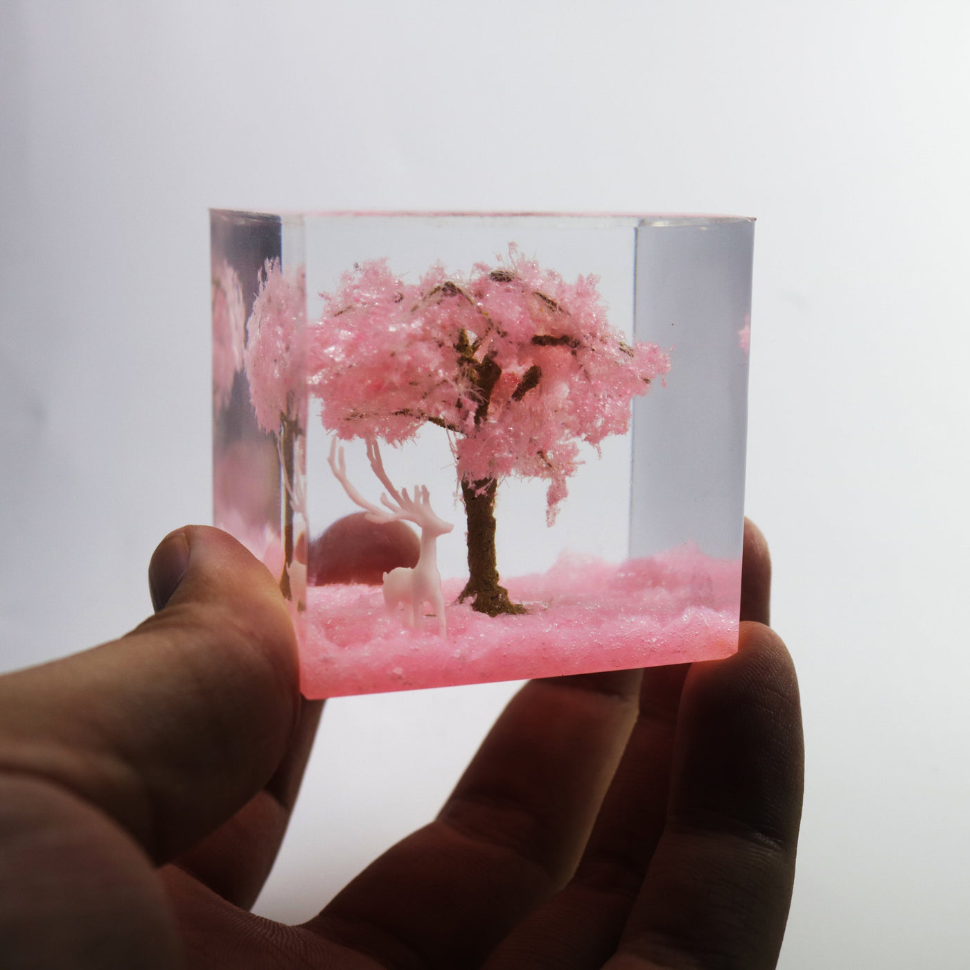 Sakura Scene Square Resin Night Light